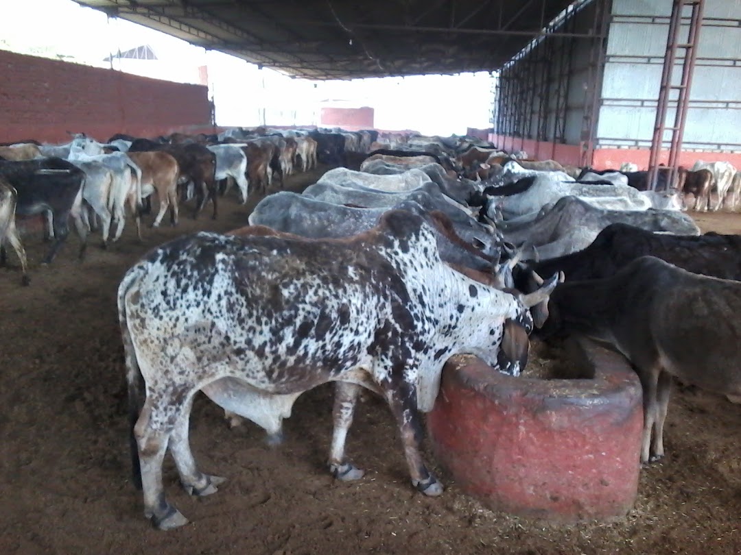 Fodder Service